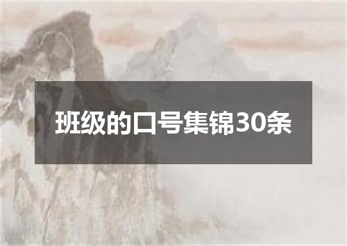 班级的口号集锦30条