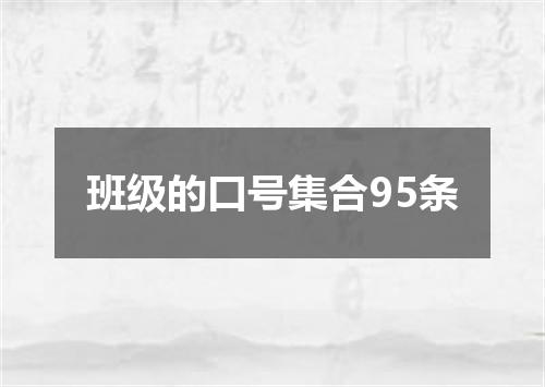 班级的口号集合95条