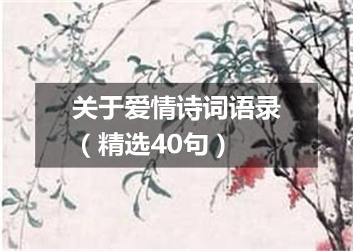 关于爱情诗词语录（精选40句）
