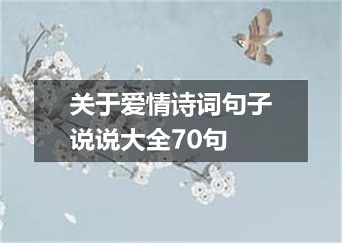 关于爱情诗词句子说说大全70句