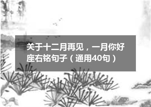 关于十二月再见，一月你好座右铭句子（通用40句）