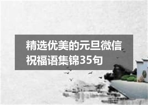 精选优美的元旦微信祝福语集锦35句