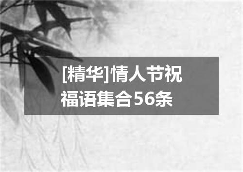 [精华]情人节祝福语集合56条