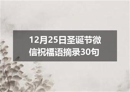 12月25日圣诞节微信祝福语摘录30句