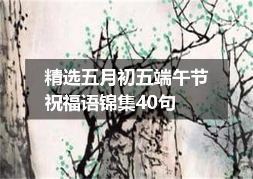 精选五月初五端午节祝福语锦集40句