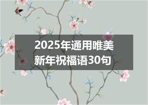 2025年通用唯美新年祝福语30句