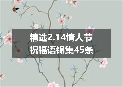 精选2.14情人节祝福语锦集45条