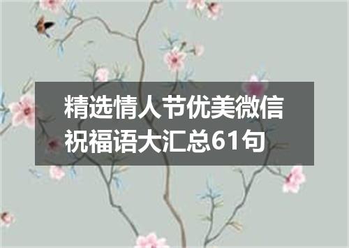 精选情人节优美微信祝福语大汇总61句