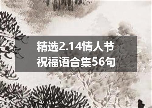 精选2.14情人节祝福语合集56句