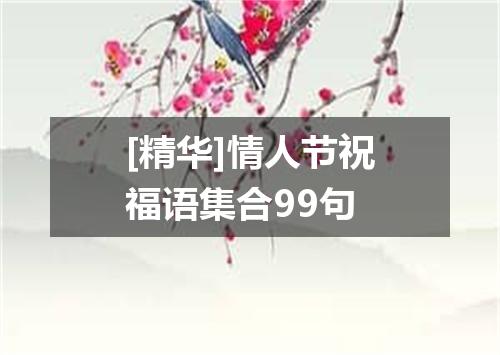 [精华]情人节祝福语集合99句