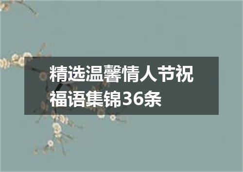 精选温馨情人节祝福语集锦36条