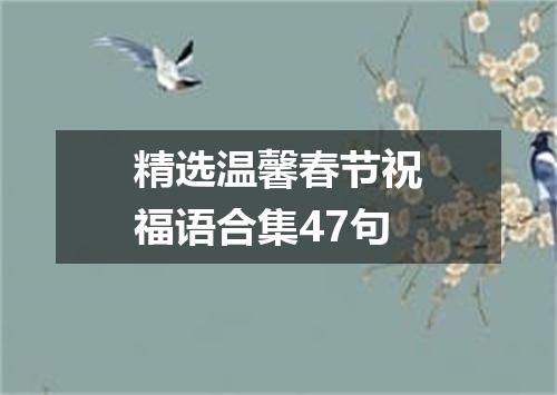 精选温馨春节祝福语合集47句