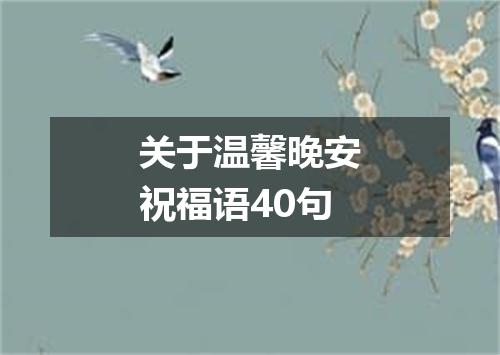 关于温馨晚安祝福语40句