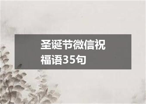 圣诞节微信祝福语35句