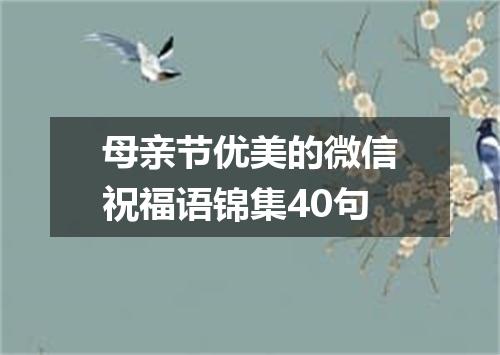 母亲节优美的微信祝福语锦集40句