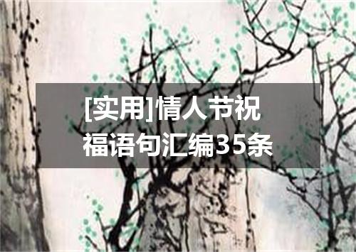 [实用]情人节祝福语句汇编35条