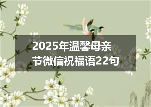 2025年温馨母亲节微信祝福语22句