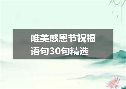 唯美感恩节祝福语句30句精选