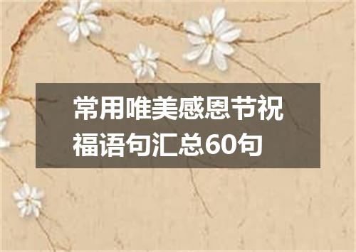 常用唯美感恩节祝福语句汇总60句