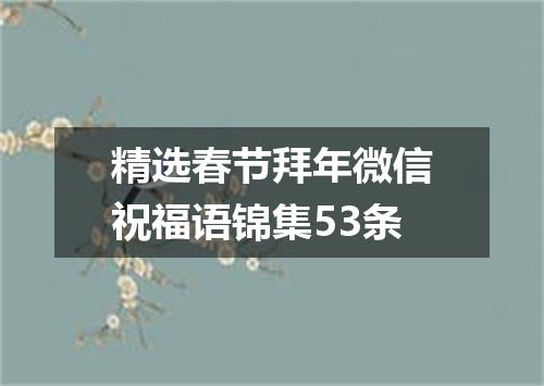 精选春节拜年微信祝福语锦集53条