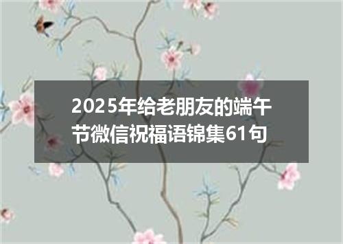 2025年给老朋友的端午节微信祝福语锦集61句