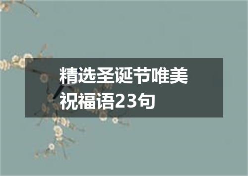 精选圣诞节唯美祝福语23句