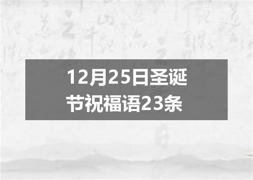 12月25日圣诞节祝福语23条