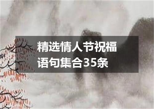 精选情人节祝福语句集合35条