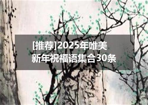 [推荐]2025年唯美新年祝福语集合30条