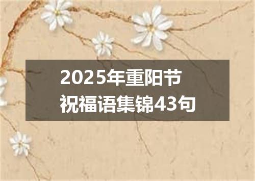 2025年重阳节祝福语集锦43句