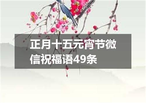 正月十五元宵节微信祝福语49条