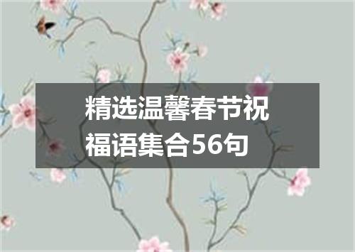精选温馨春节祝福语集合56句