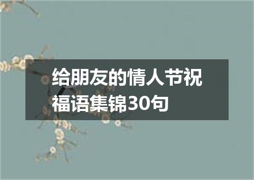 给朋友的情人节祝福语集锦30句