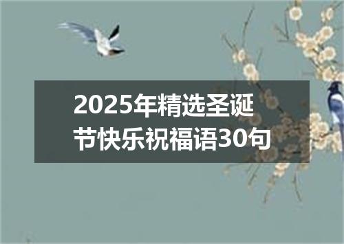 2025年精选圣诞节快乐祝福语30句