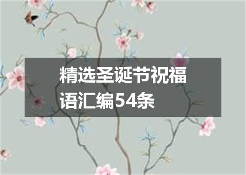 精选圣诞节祝福语汇编54条