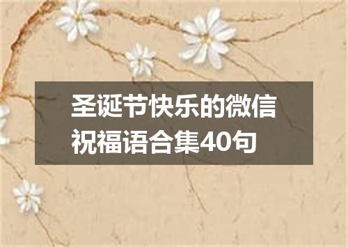 圣诞节快乐的微信祝福语合集40句