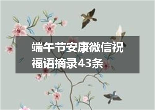 端午节安康微信祝福语摘录43条