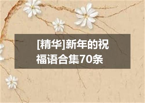 [精华]新年的祝福语合集70条
