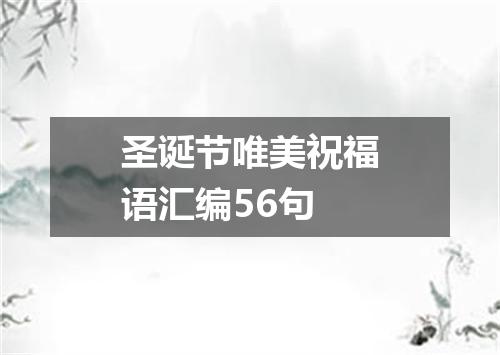 圣诞节唯美祝福语汇编56句