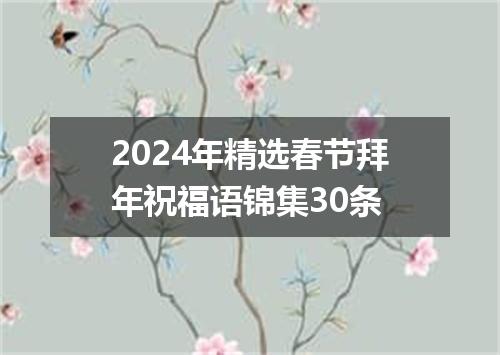 2024年精选春节拜年祝福语锦集30条