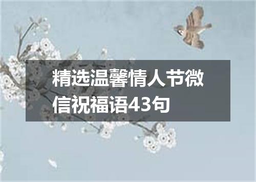 精选温馨情人节微信祝福语43句