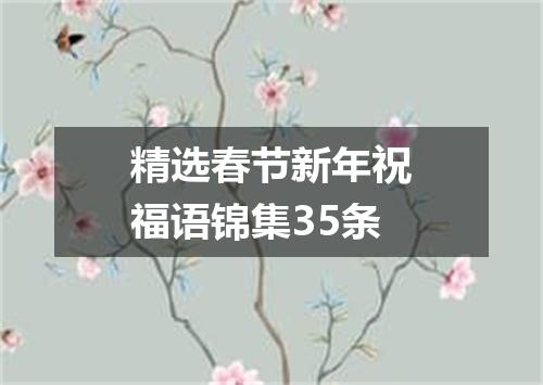 精选春节新年祝福语锦集35条