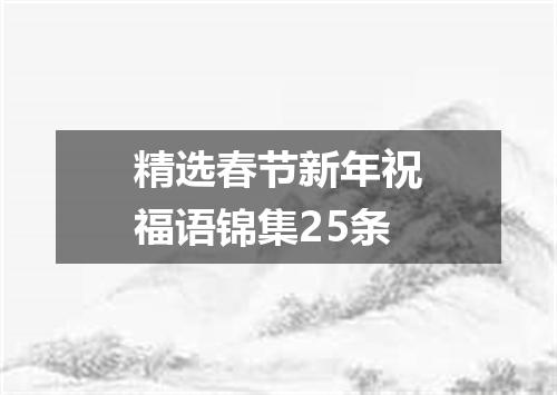 精选春节新年祝福语锦集25条