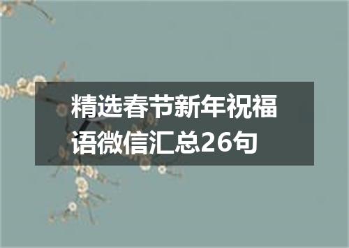 精选春节新年祝福语微信汇总26句