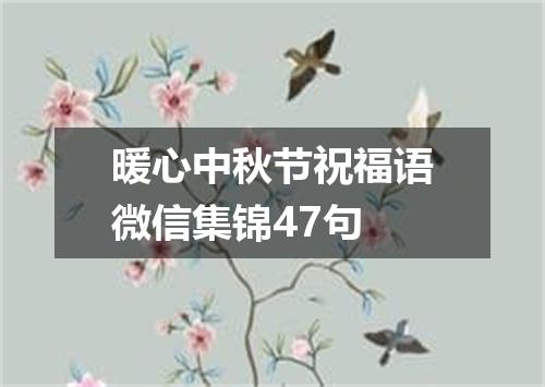 暖心中秋节祝福语微信集锦47句