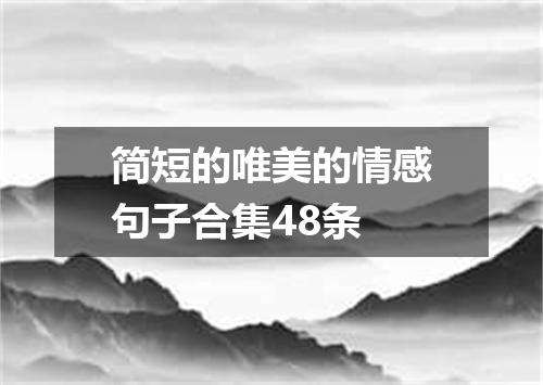 简短的唯美的情感句子合集48条