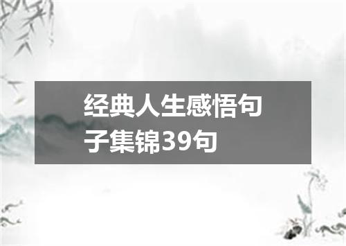 经典人生感悟句子集锦39句
