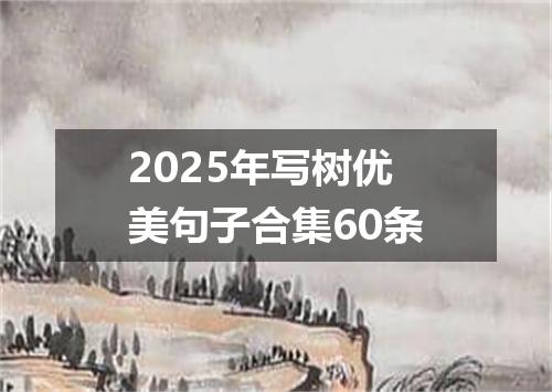 2025年写树优美句子合集60条