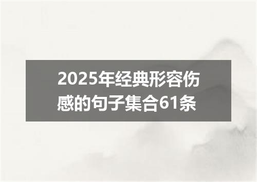 2025年经典形容伤感的句子集合61条