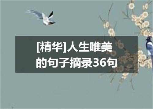 [精华]人生唯美的句子摘录36句